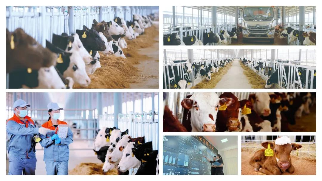 1640833153297973.jpg WeChat Image_20211230105902.jpg